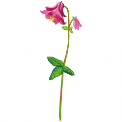 Flowers And Tree Embroidery Design 9 Flowers And Tree Embroidery Design 9